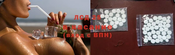 стаф Абаза