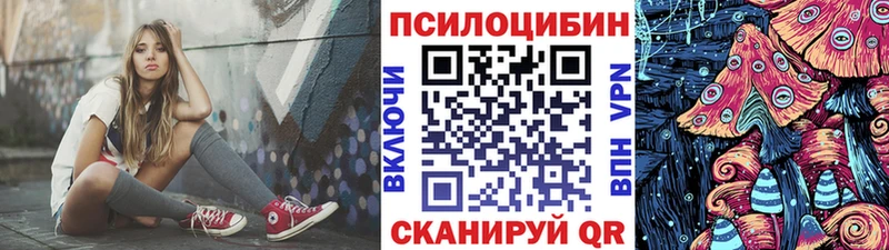 продажа наркотиков  ссылка на мегу маркетплейс  Галлюциногенные грибы MAGIC MUSHROOMS  Иваново 