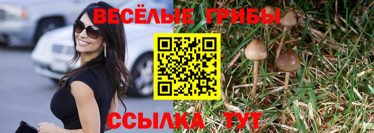 Иваново  Псилоцибиновые грибы Psilocybe  Вход с VPN 