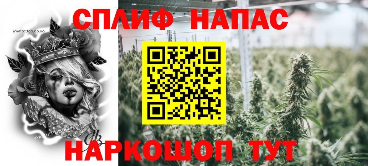Бошки марихуана план Иваново